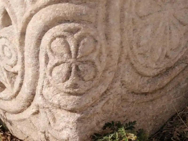 A flower-like cross inside a circle